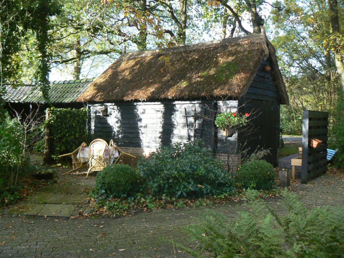 Hoeve Den Anholt Villa Ruinen Kültér fotó