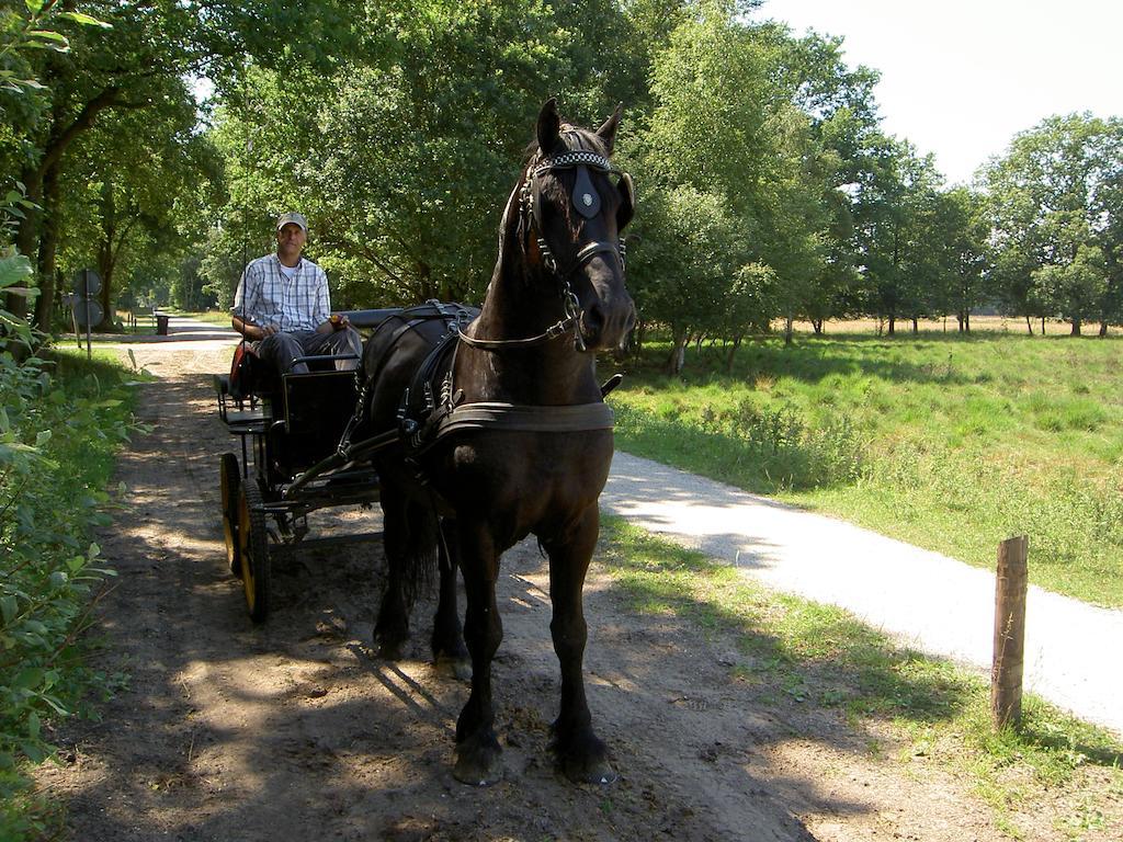 Hoeve Den Anholt Villa Ruinen Kültér fotó