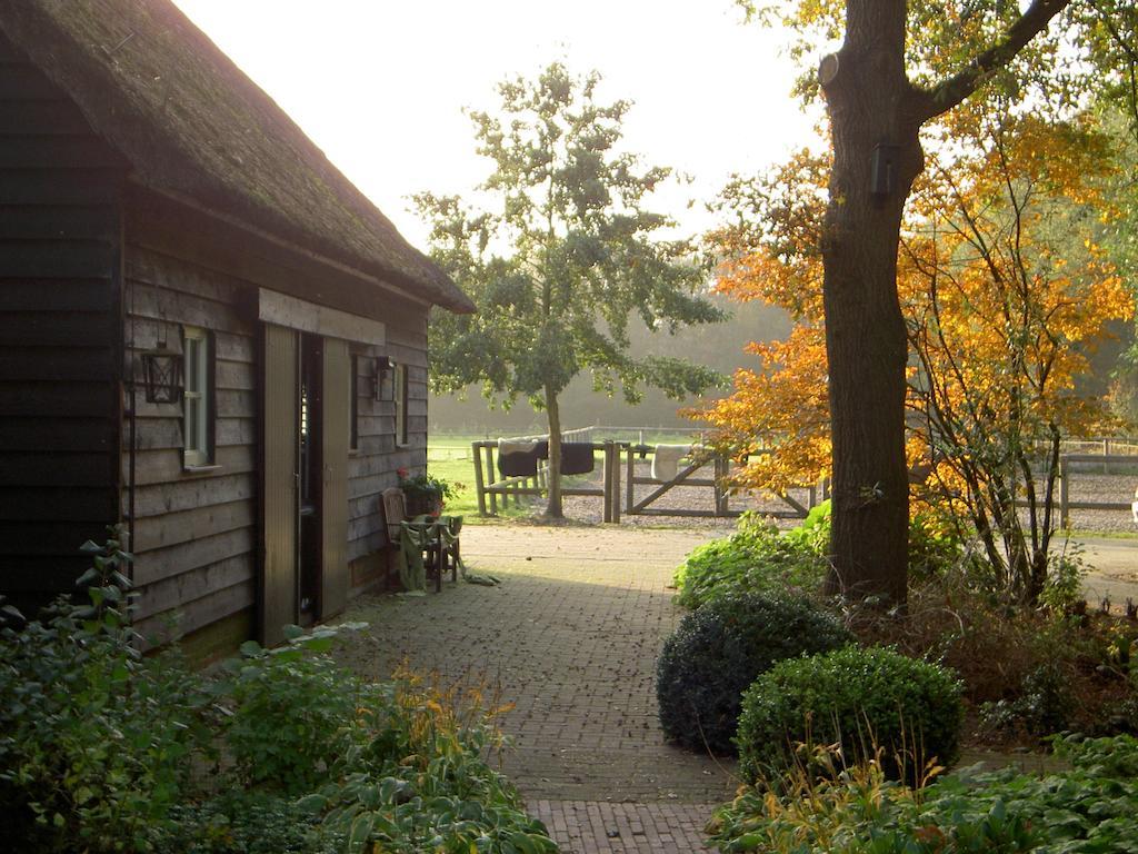 Hoeve Den Anholt Villa Ruinen Kültér fotó