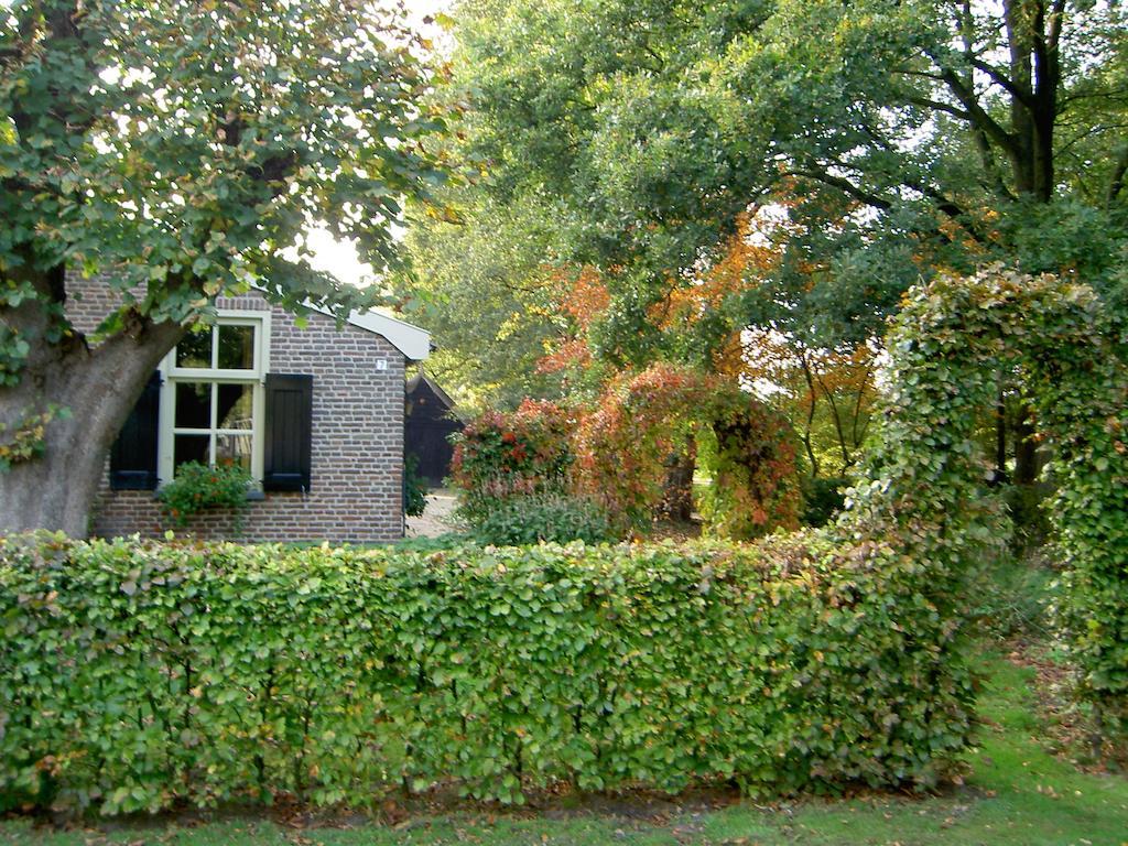 Hoeve Den Anholt Villa Ruinen Kültér fotó