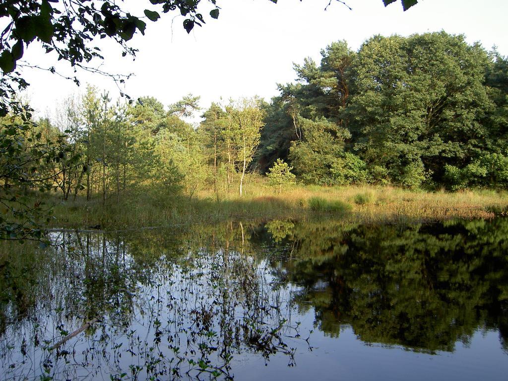 Hoeve Den Anholt Villa Ruinen Kültér fotó
