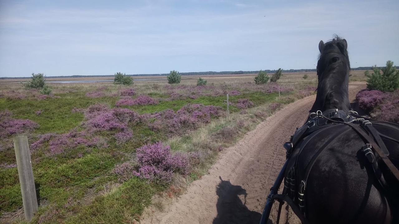 Hoeve Den Anholt Villa Ruinen Kültér fotó