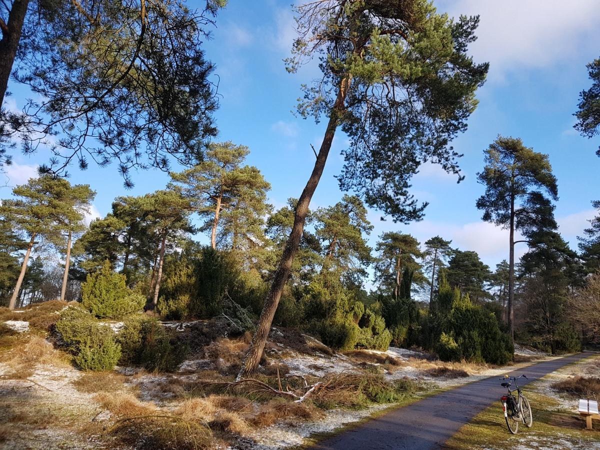 Hoeve Den Anholt Villa Ruinen Kültér fotó