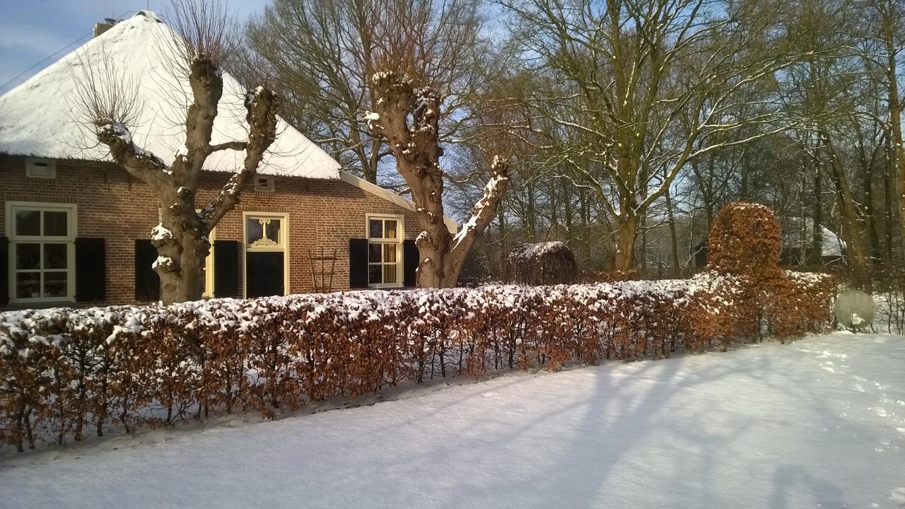 Hoeve Den Anholt Villa Ruinen Kültér fotó
