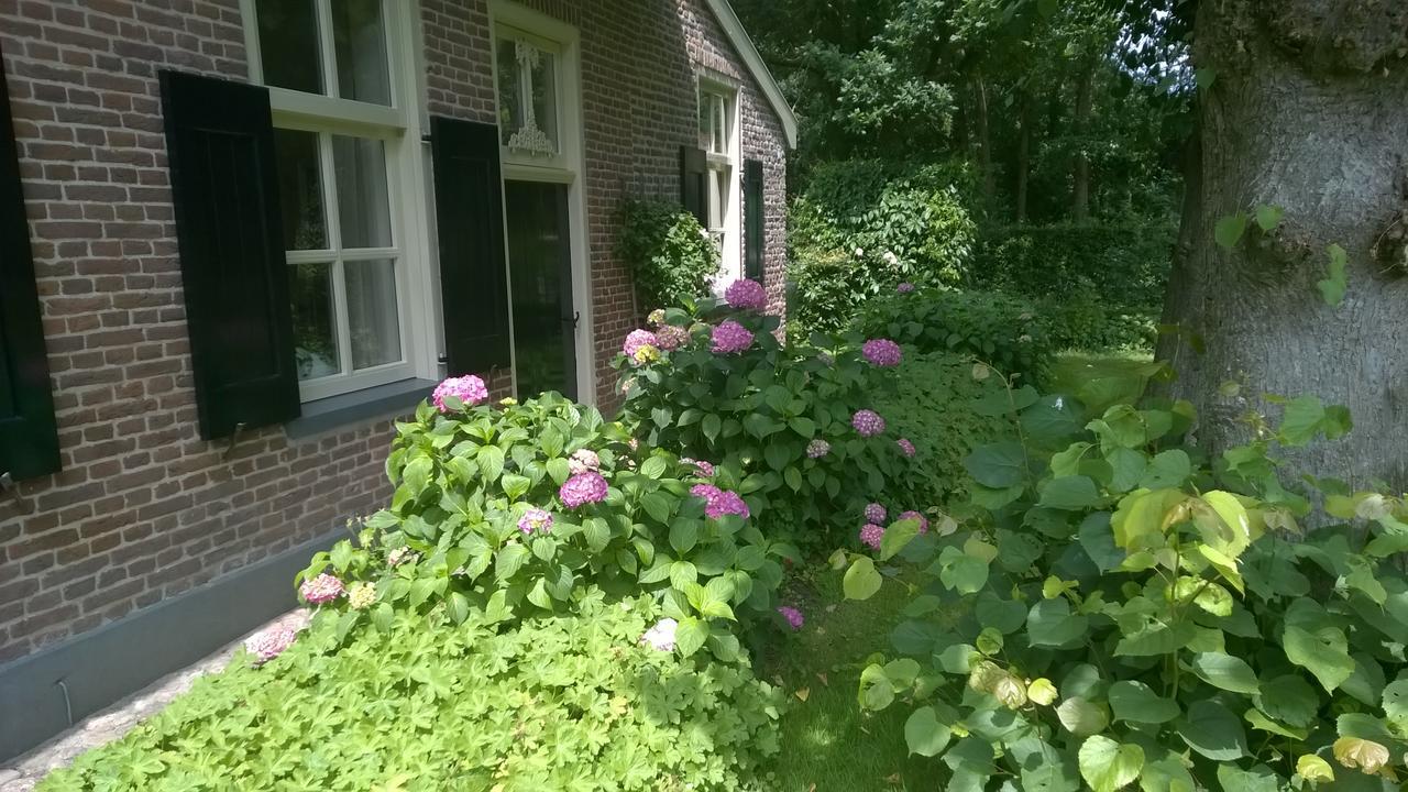 Hoeve Den Anholt Villa Ruinen Kültér fotó