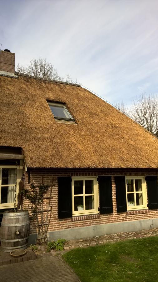 Hoeve Den Anholt Villa Ruinen Kültér fotó