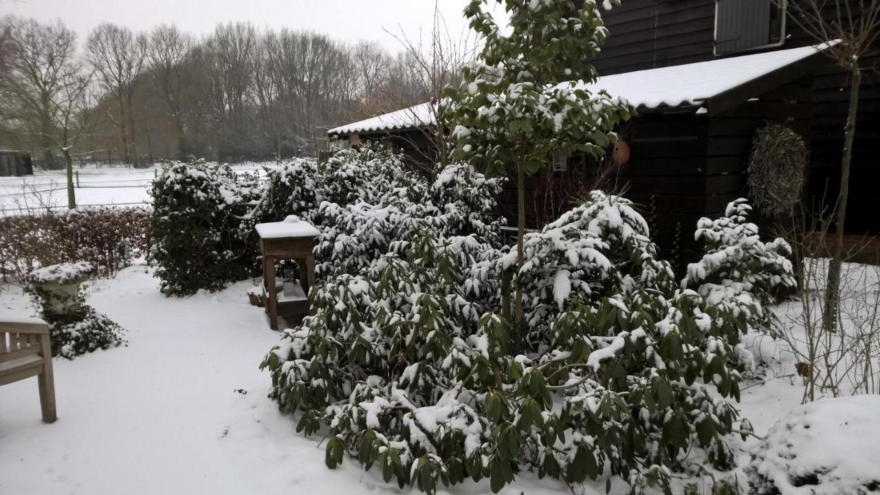 Hoeve Den Anholt Villa Ruinen Kültér fotó