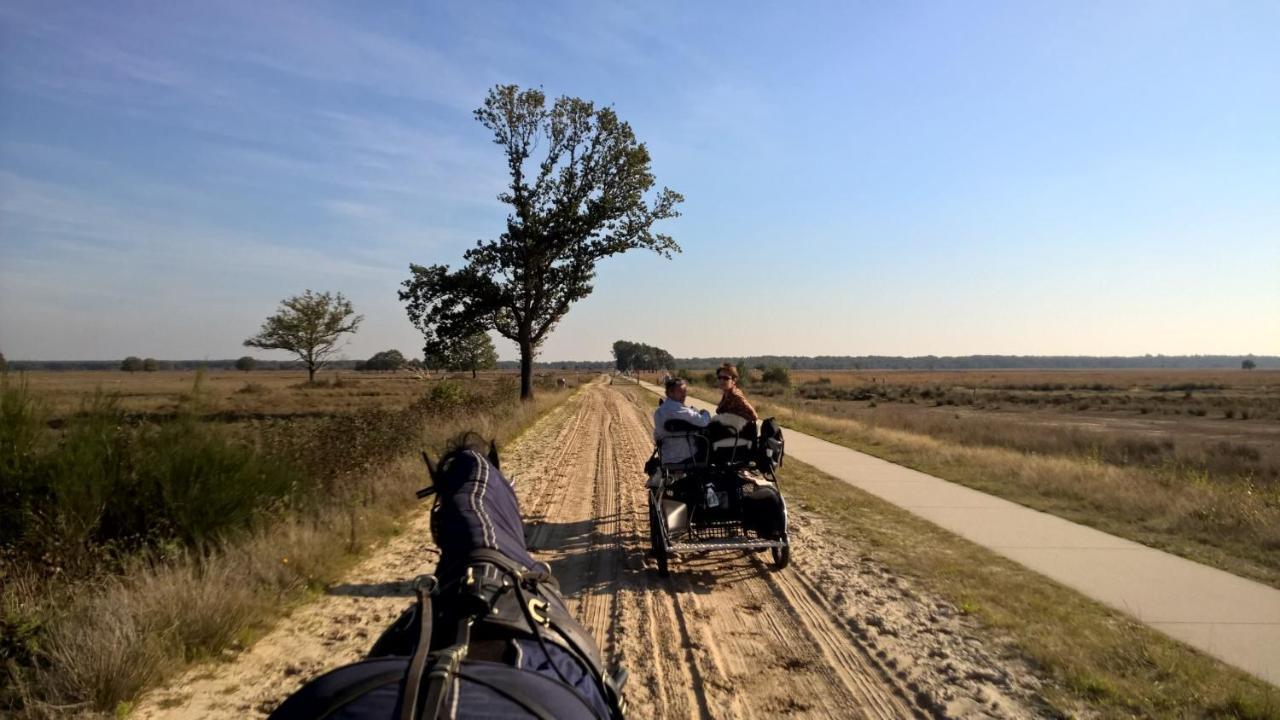 Hoeve Den Anholt Villa Ruinen Kültér fotó