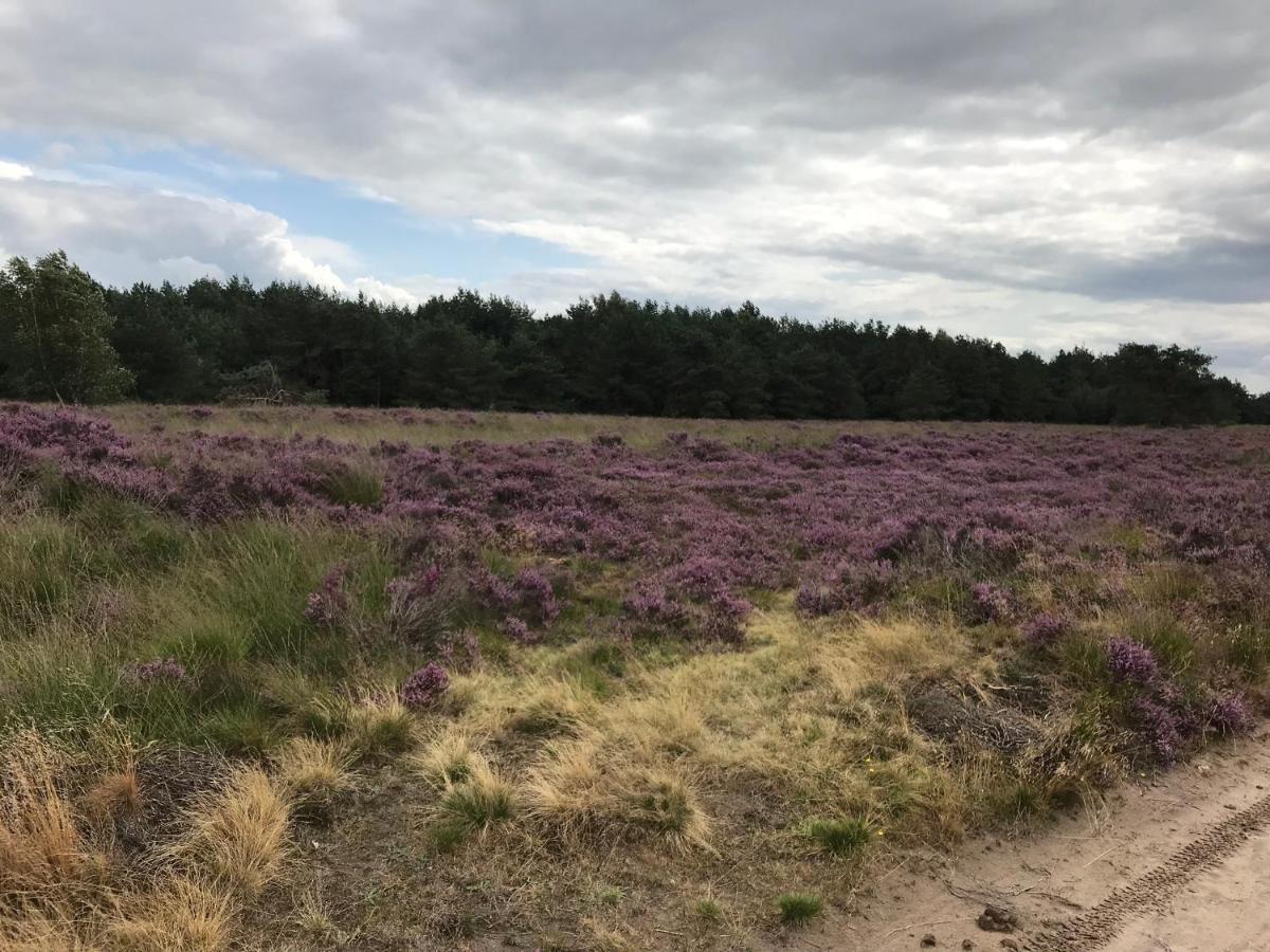 Hoeve Den Anholt Villa Ruinen Kültér fotó