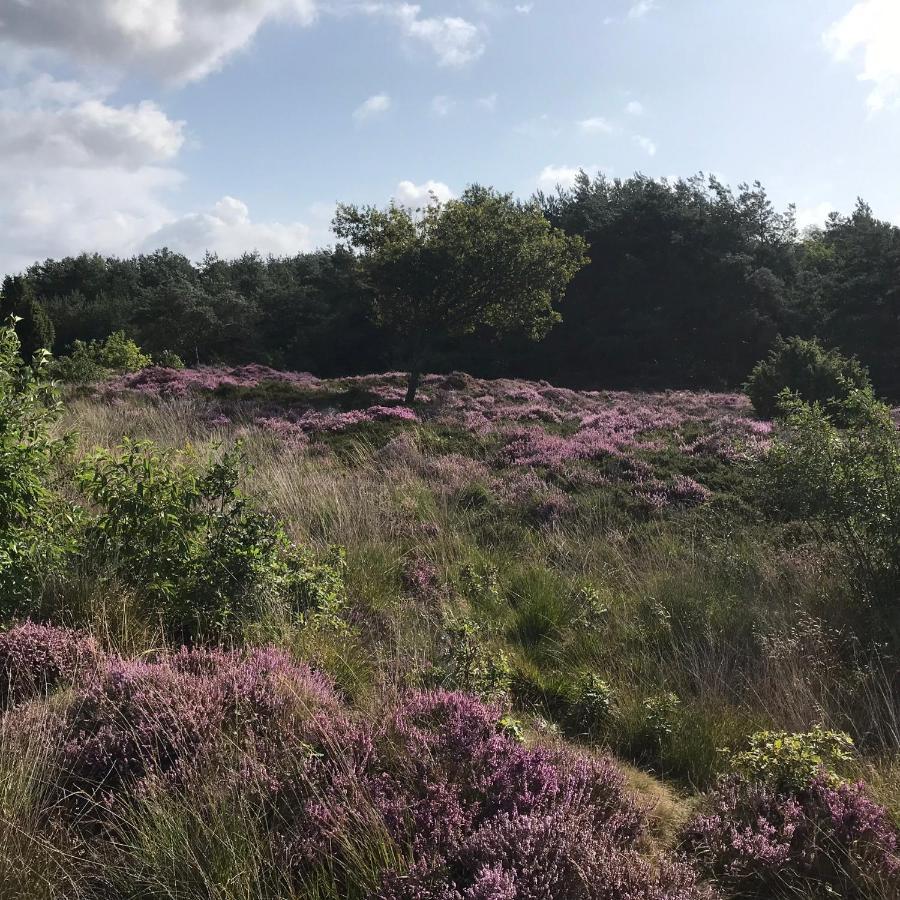 Hoeve Den Anholt Villa Ruinen Kültér fotó