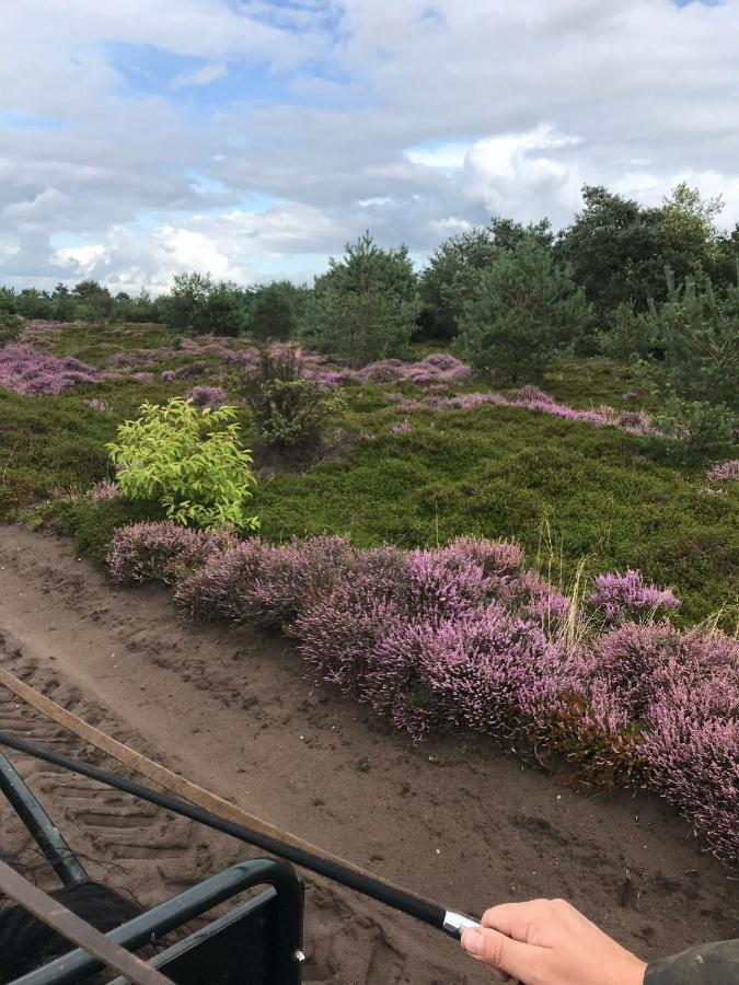 Hoeve Den Anholt Villa Ruinen Kültér fotó