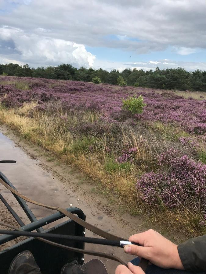 Hoeve Den Anholt Villa Ruinen Kültér fotó