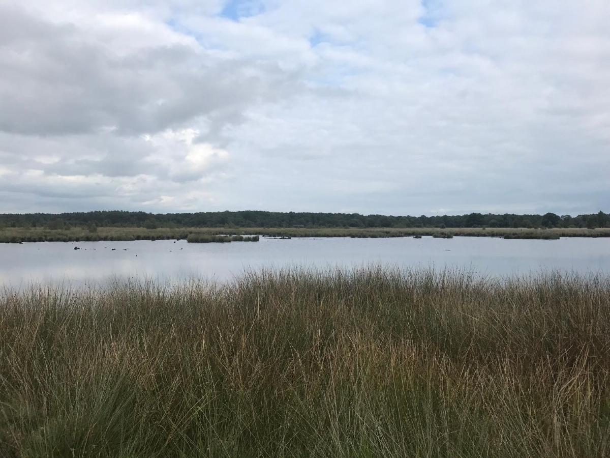 Hoeve Den Anholt Villa Ruinen Kültér fotó