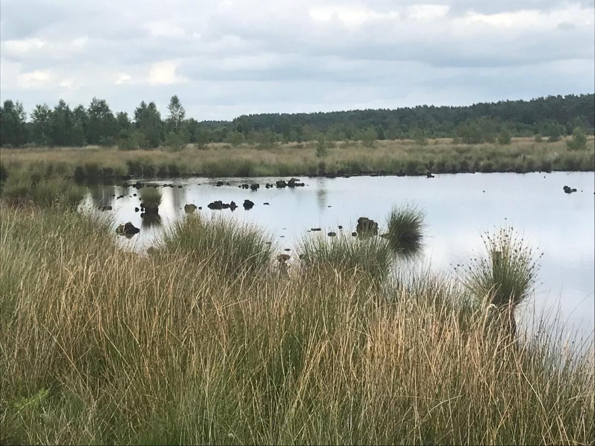 Hoeve Den Anholt Villa Ruinen Kültér fotó